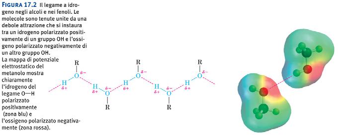 Unità didattica 8 Alcoli eteri epossidi e composti solforati Alcoli ed