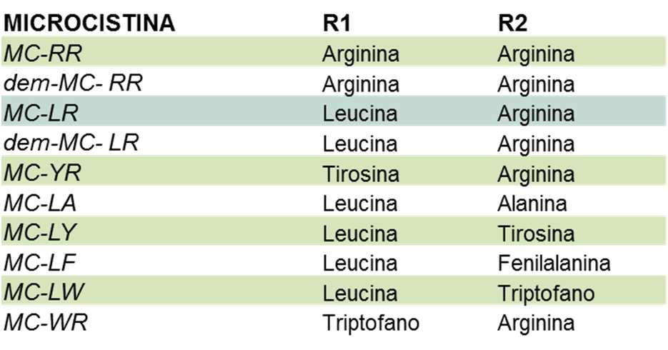 Microcistine algali Gli obiettivi delle prove, che prevedevano l esecuzione di una procedura estrattiva standardizzata da parte dei laboratori, la determinazione strumentale degli analiti negli