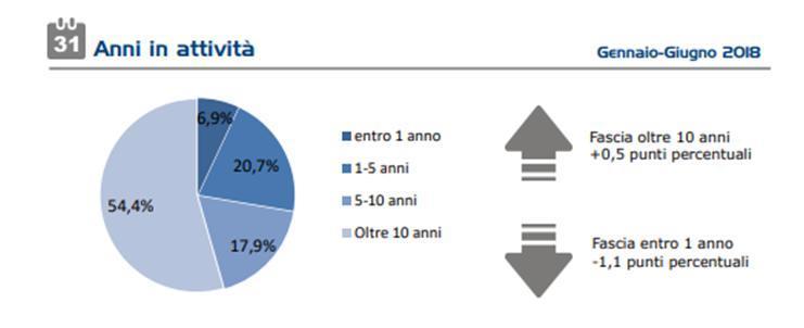 oltre 10 anni di attività 1/3 delle richieste è effettuata da micro imprese con fatturato compreso tra