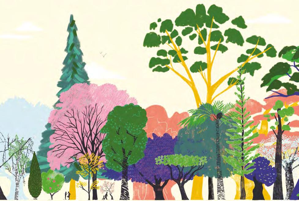 Questo libro dalle illustrazioni poetiche raccoglie i più bei racconti sugli alberi di tutto il mondo, dal maestoso tasso della mitologia nordica fino ai preziosi baobab del Madagascar.