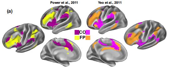 Networks di controllo esecutivo evidenziate tramite connettività funzionale a riposo CO= cingulo-opercular network FP= fronto-parietal network (Gratton et al.