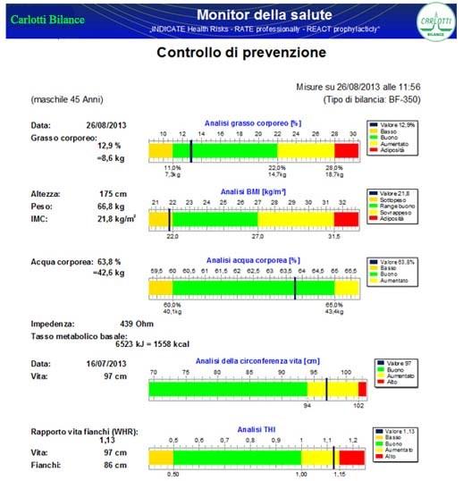 Software GMON pro GMON V3-PRO collegabile a modello BF350 (uso professionale memorie illimitate).