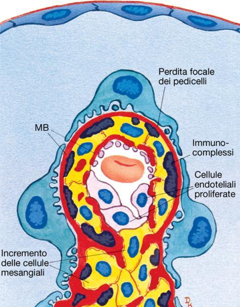 membrano