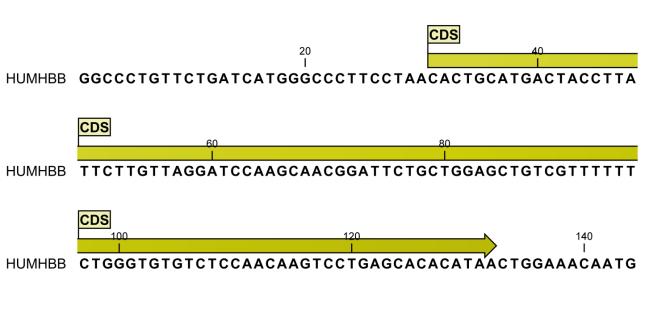 Basic sequence analysis Visualization and editing Use of annotations: gene regions in genomes; intron and