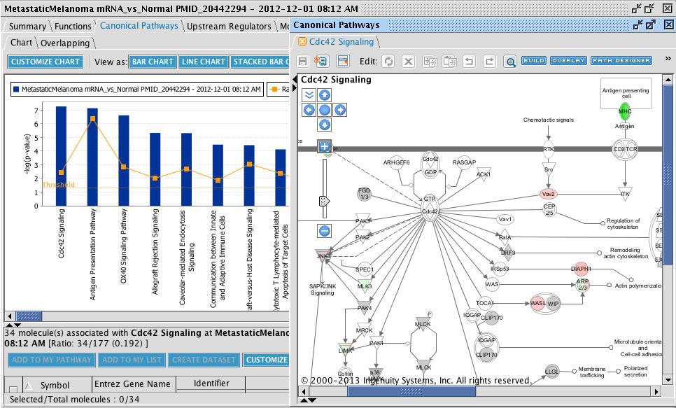 Ingenuity Pathway Analysis Allows the biological interpretation of gene