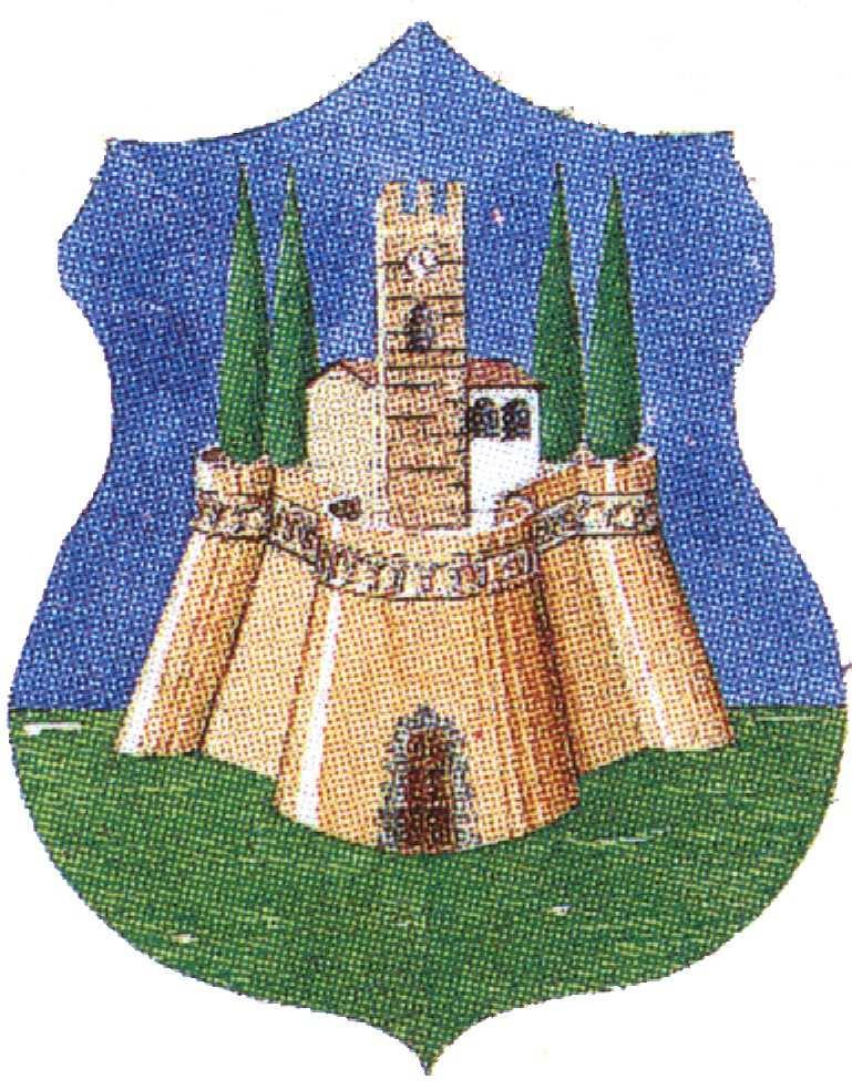 COMUNE DI CASTELNUOVO BERARDENGA (Provincia di Siena) REGOLAMENTO COMUNALE PER LA