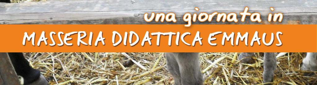 Emmaus, azienda e comunità che ha coltivato per anni i suoi terreni con metodi biologici, propone visite guidate alla fattoria bio-didattica dove sono organizzati percorsi e laboratori con annessa