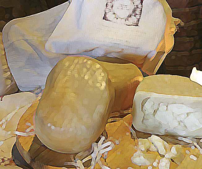 DOMENICA 18 NOVEMBRE giornata della sfossatura del formaggio di fossa e del tartufo bianco pregiato delle colline riminesi ore 9:30 Apertura mostra-mercato del tartufo bianco pregiato, dei prodotti