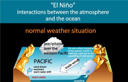 Circolazione Atmosferica Equatoriale - Condizione ENSO Negli anni normali il forte gradiente di temperatura superficiale (freddo a est caldo a ovest) nel Pacifico equatoriale è