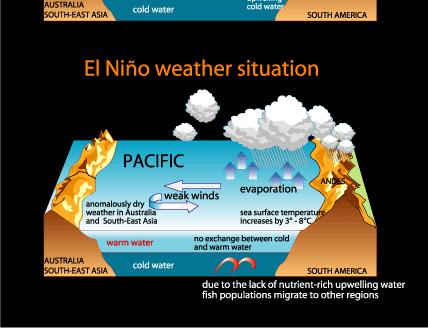 La risalita delle acque rafforza a sua volta il gradiente di temperatura superficiale mantenendo gli alisei.