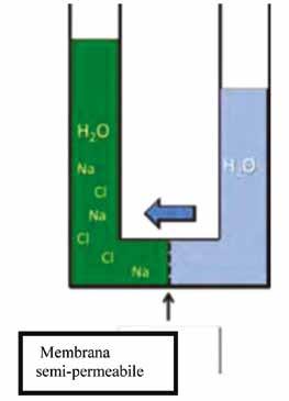 5. Tecnologia Hydropath e trattamento di alghe e batteri 5.1. Introduzione La tecnologia Hydropath può trattare l acqua uccidendo batteri ed alghe senza l impiego di prodotti chimici disinfettanti.