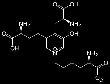 MARCATORI DEL RIASSORBIMENTO OSSEO IDROSSIPROLINURIA (nelle urine delle 24 ore) (troppo influenzabile dalla dieta) Idrossiprolina è un imminoacido, marcatore del turn over del collagene Si misura