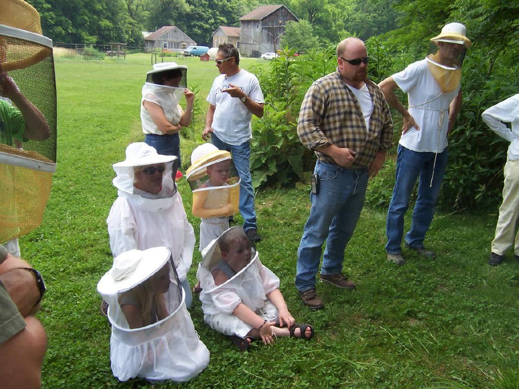 Diminuzione del numero di api adulte abbastanza elevata Considerazioni I dati raccolti in questo studio per l Api-Bioxal, in abbinamento