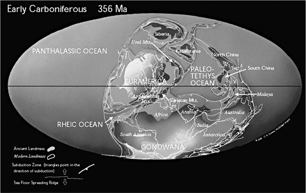 Incompletezza del record fossile Ci sono molti vuoti fra le faune conosciute, dovute a non-fossilizzazione, perdita per