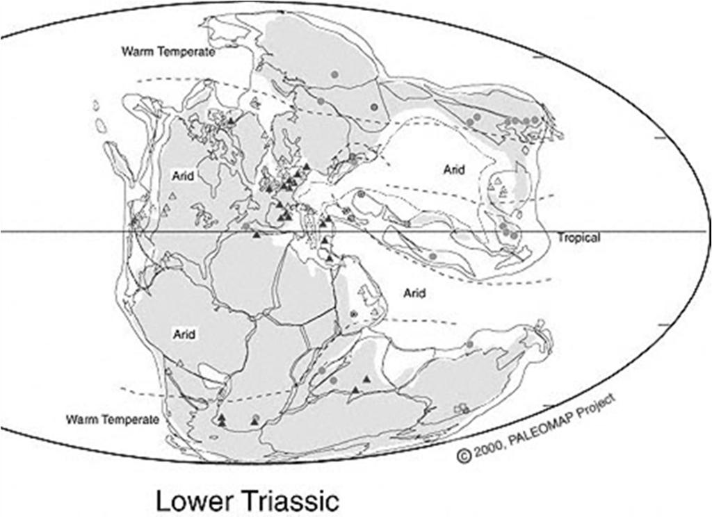 I climi del Giurassico e del Cretacico sembrano essere stati caldi ed umidi. I cambiamenti biologici implicanti ad es.