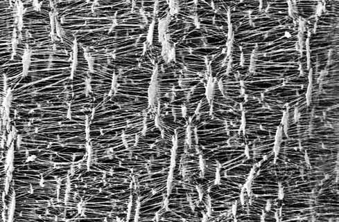 Il sottoprodotto di combustione sono i fumi che devono essere neutralizzati dagli inquinanti (in particolare SO 2 e NO 2 ) e devono essere depolverati da ceneri prima di