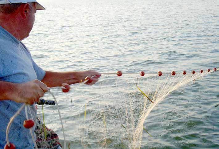 Consorzio di gestione in pillole I Consorzi di Gestione della Piccola Pesca Artigianale sono consorzi con attività esterna che hanno lo scopo di gestire attività di indirizzo, coordinamento e