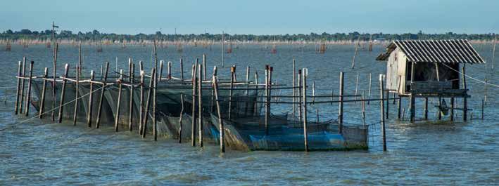 Consorzio per la Pesca Artigianale Costiera 2014/2020, elaborato in conformità al disposto dell art. 17 del citato Regolamento (UE) n.