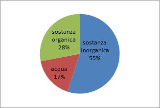 MINERALI: COMPOSIZIONE CHIMICA DELLE OSSA Sostanza inorganica: 55 %: prevalentemente minerali come