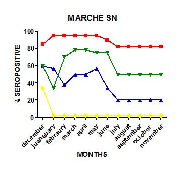 Gregge 1 Sieroneutralizzazione per la ricerca di anticorpi contro SBV (% degli animali positivi) nelle aziende focolaio nel corso dell epidemia del 2012.