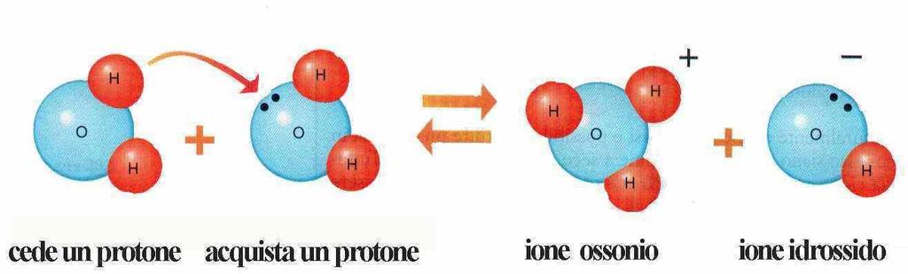 Proprietà chimiche dell acqua L'acqua si dissocia in ioni H + e OH, con una costante di dissociazione di 10 14.