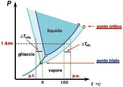 Proprietà colligative L acqua è una delle poche sostanze in cui la curva solido liquido