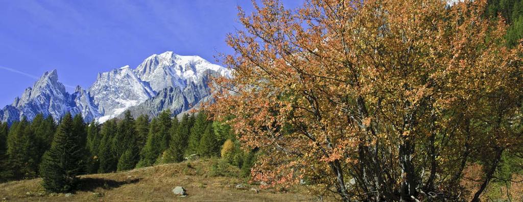 In uno scenario di rara bellezza, al cospetto della montagna più alta d Europa, Courmayeur, con i suoi 1224 mt di altitudine, è una delle stazioni sciistiche più rinomate dell arco alpino.