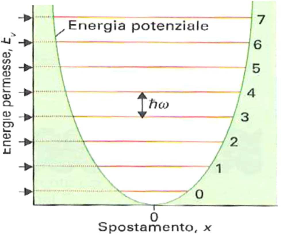 Importanti conclusioni