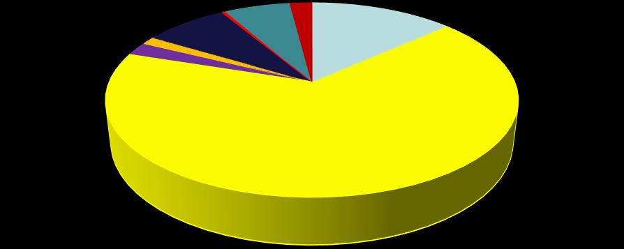 CONSUMI ENERGETICI IN LOMBARDIA Settore residenziale - 2015 8% 0% 2% 2% 1% 6% 14% 67% ENERGIA ELETTRICA GAS NATURALE GASOLIO GPL BIOMASSE SOLARE TH Pompe di Calore TLR