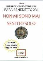 I. ONLUS, Non mi sono mai sentito solo : gli ultimi discorsi del Papa / Benedetto 16.