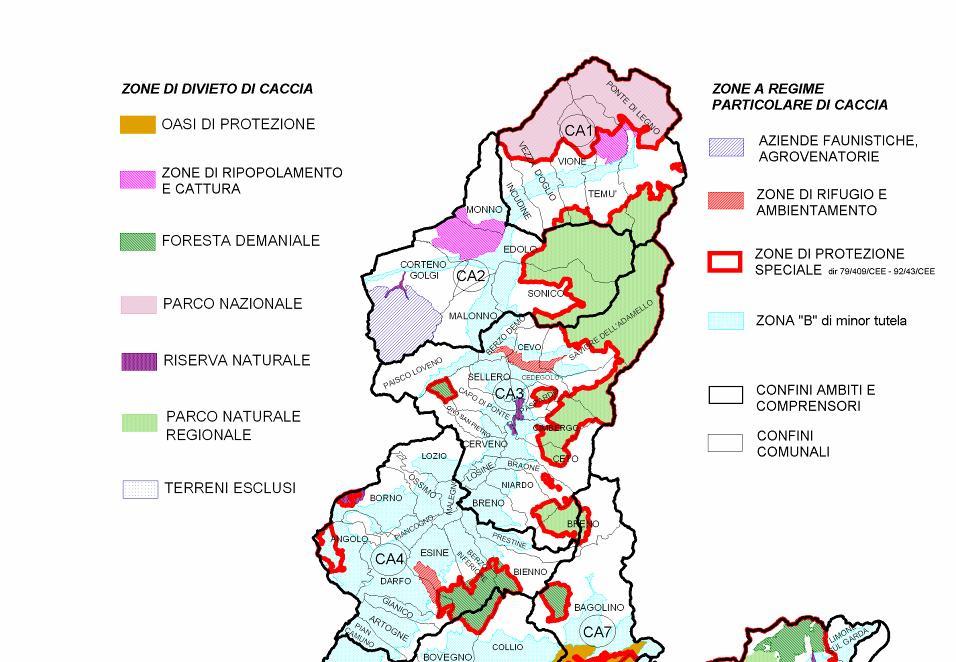 Cinghiale CA1 (Ponte di Legno) CA2 (Edolo) CONTROLLO SELETTIVO CA3 (Media Valle Camonica) BRACCATA E C.
