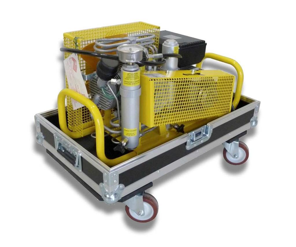 Case for Paoli Compressor / Baule per Compressore Paoli This very robust case with special holder of rubber silent block will protect your PAOLI