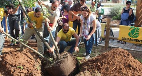 dell'albero, novembre Nontiscordardimè, marzo Spiagge e