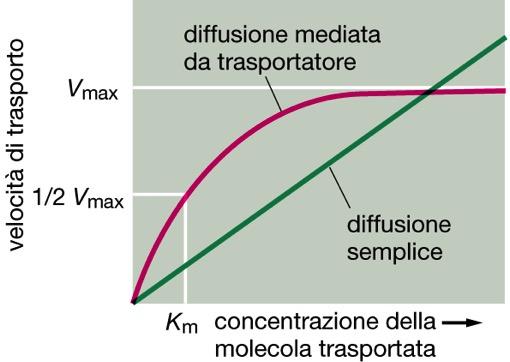 3)Saturabilità