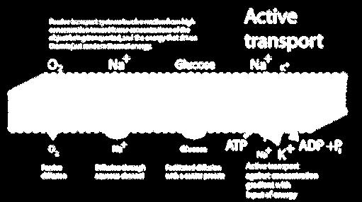 out in out in - - - - - - out in 3 cariche positive su ogni lato: i-o = 0 2 cariche positive escono (blu) 1 entra (verde) 4 cariche positive su lato esterno e 2