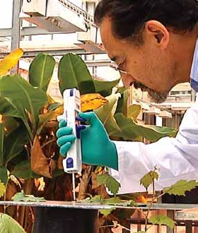 Dalla costante innovazione nella ricerca nascono le nostre soluzioni integrate che combinano genetica, protezione delle colture e supporto tecnico in campo per aiutare gli