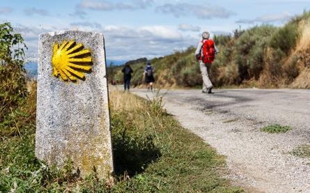 , sistemazione in hotel 4 stelle con trattamento di mezza pensione, ingresso alla Cattedrale di Burgos e Leon come da programma, assicurazione medico bagaglio, Dal 16 al 22 settembre Matera e la