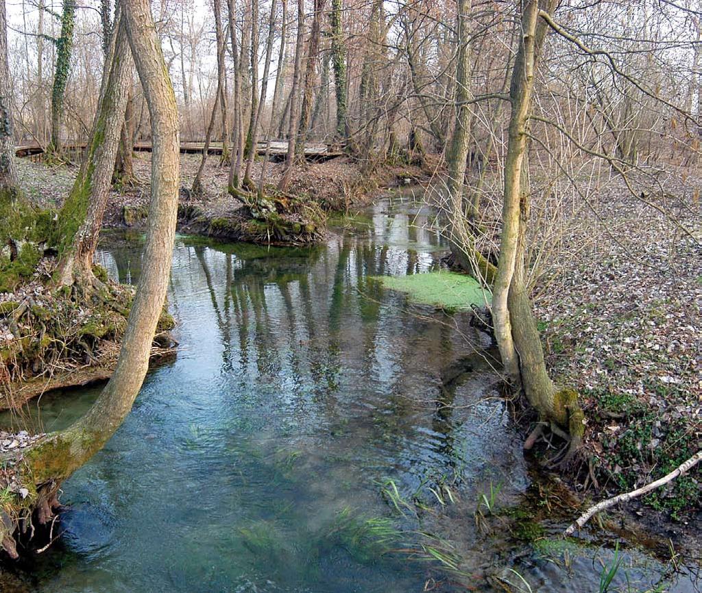 cultura e ambiente Cultura e Ambiente Assolutamente tipico il paesaggio rurale della zona che esprime attraverso le così dette praterie (da non confondere ovviamente con quelle più ben più vaste e