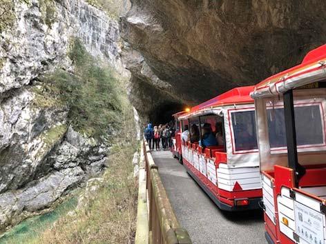 Visita del trenino attraverso le bizzarre gole del Parco Naturale delle Dolomiti Friulane Visita della vecchia strada Solo