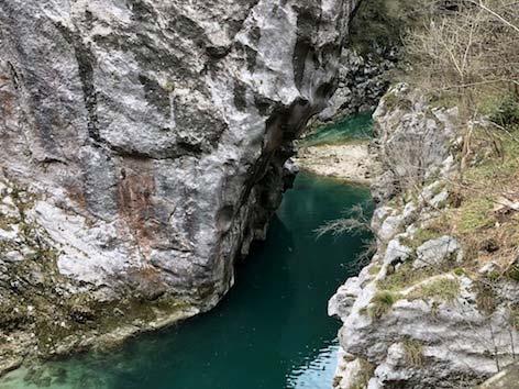 Il merlo acquaiolo cerca riparo sotto la cascata La guida del parco Fabiano Bruna sa come segnalare uno speciale abitante del canyon: "Il merlo acquaiolo vive sul fondo del burrone.