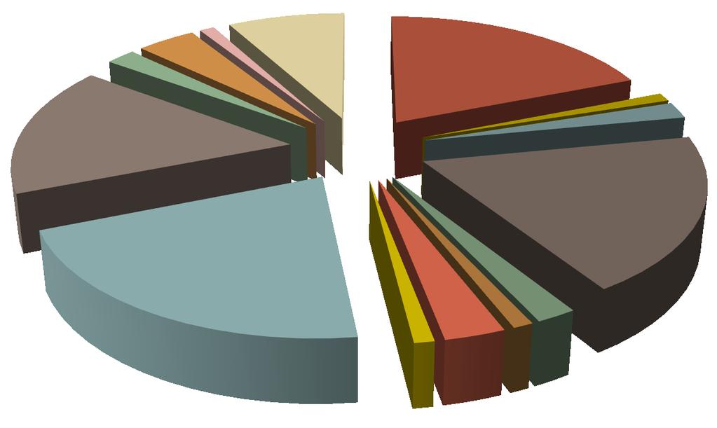 Sito Internet: Provenienza Contatti 2% 4% 1% 16% 21% 8% Visite per Paese 1% 3% 19% 1% 2% 19% 1% 2%