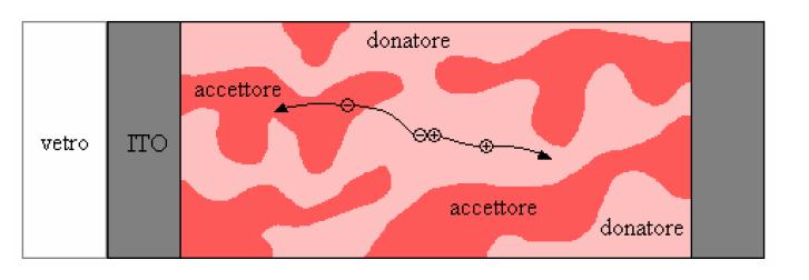 Le tecnologie fotovoltaiche Le celle organiche e Dye sentized I fotoni creano eccitoni ( coppie e-h legate) che diffondono alle interfacce fra materiali diversi dove i portatori di carica vengono