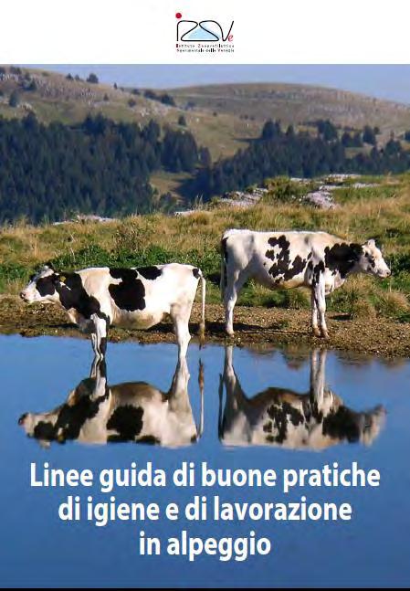 LINEE GUIDA DI BUONE PRATICHE DI IGIENE E DI Elementi caratteristici?