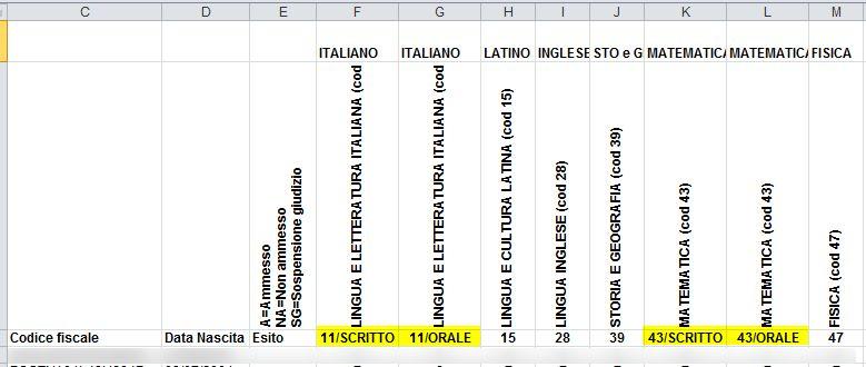 Nella colonna C1 il codice indirizzo ministeriale (per le scuole secondarie) Nella colonna A2 l anno della classe Nella colonna B2 la sezione della classe Nella prima riga sopra la materia è