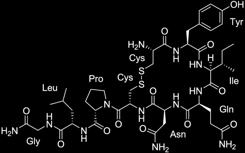 2017 /2018 1)ACQUA : ORO BLU Un interessante laboratorio per scoprire le caratteristiche dell ACQUA in molte sue sfaccettature: attraverso attività ed esperimenti molto pratici i bambini capiscono