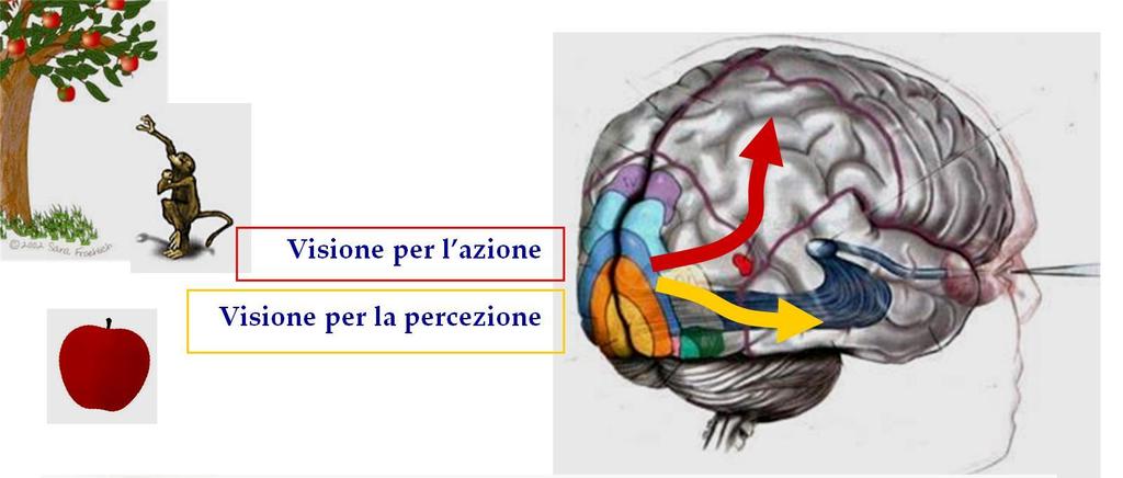 COSA SUCCEDE DOPO?