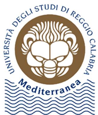 Università degli Studi Mediterranea di Reggio Calabria Diritto Penale Prof.