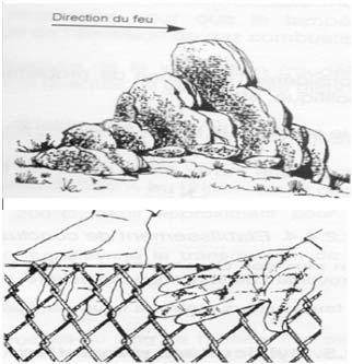 Attraverso i secoli, gli investigatori hanno potuto ricostruire la scena del crimine grazie a questa disciplina, descrivendo cose, persone o ambienti coinvolti