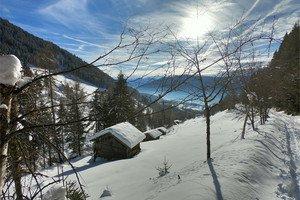 VENERDI: ESCURSIONE INVERNALE A T ERENT O Questa escursione giudata parte nel centro di Terento e va lungo il sentiero panoramico verso la valle dei mulini.