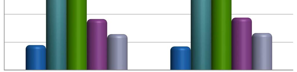 - 4 - Auto Nuove: Acquisti per fascia di età 50% 18-29 anni 30-45 anni 46-55 anni 56-65 anni oltre 65 anni 40% 30% 20% 10% 0% 9,0% 32,4% 27,4% 18,3% 12,9% 8,5% 31,5% 28,0% 2016 2017 18,8% 13,3% Le